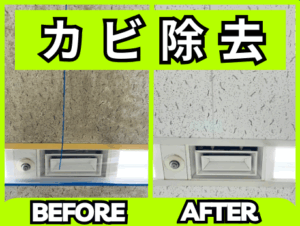 第25回：建物に潜むカビ対策はこれで解決！