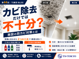 第44回 | カビ除去だけでは不十分?施設の防カビ対策とは